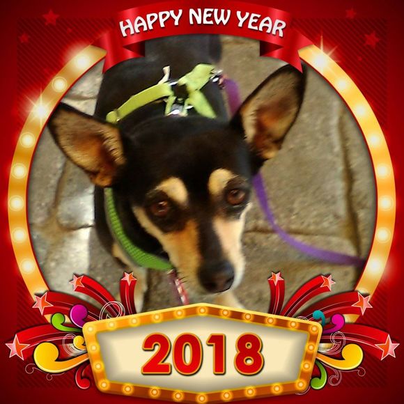 Meet your Posher, Cory - Picture 1 of 1